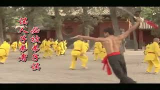 The Challenge 谁与争锋  Vincent Ng Shows Real KungFu SWORD 13  FHD60FPS [upl. by Airamahs184]