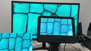 Andonstar  2024 AD266S 5000X 2160P HDMI Biological Microscope Review andonstar aliexpress [upl. by Reivax]