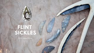 Prehistoric Flint Sickles Farming Tools In The Neolithic [upl. by Ariamat]