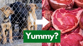 I Tried Eating Dog Meat  Heres What Its Like Ecochat [upl. by Schoening55]