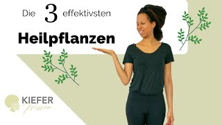 Die 3 wichtigsten HEILPFLANZEN für deine Gesundheit [upl. by Ahsenyl]