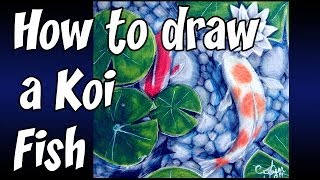 How to draw a Koi Fish [upl. by Horn]