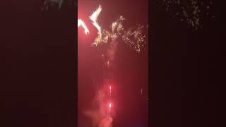 What makes fireworks so special [upl. by Savick]