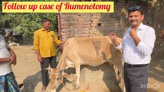 Follow up case of Rumenotomy l Recurrent tympani l Bloat l dr umar khan [upl. by Elnar]