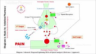 Class 71 Opioid Analgesic Mechanism of Action  Medicinal Chemistry 01  BPhamacy 04th semester [upl. by Acimehs]