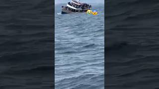 Boat sinks viralvideo unbelievable shorts [upl. by Illek]