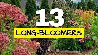 These are the Longest Blooming Perennials in my Garden I Tracked Them All Year [upl. by Floria]