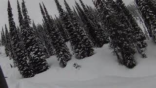 Cat skiing at Great Northern in BC Feb 2024 [upl. by Bennett681]