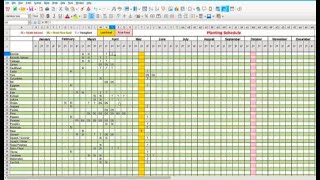 Create A Planting Schedule Spreadsheet [upl. by Anidene208]