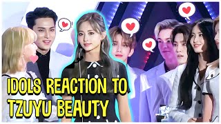 Kpop Idols Reaction To TWICE Tzuyu Beauty [upl. by Jordison]