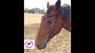 How to make a custom minimalist bridle with paracord and beads [upl. by Gustavo]