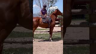 horseplay equestrian horseenthusiast ottb horsefan [upl. by Anilys]