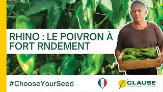 Pourquoi choisir notre poivron RHINO   ChooseYourSeed  HMCLAUSE [upl. by Landre]