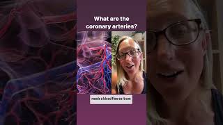 What are coronary arteries anatomyrevision heartanatomy coronaryartery [upl. by Sloan]