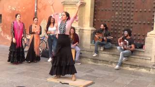 Flamenco dance 1 in Granada 2015 [upl. by Belldame]