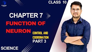 CLASS 10 SCIENCE CHAPTER 7 Control and Coordination PART 3 [upl. by Taub]