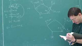 Organic chemistry Carbohydrates 4 [upl. by Lolita956]