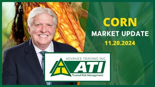 Advance Trading Corn Market Update  November 20 2024 [upl. by Atneuqal]