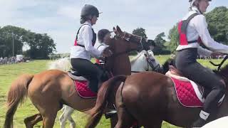 Gower Show 2024 Gymkhana [upl. by Fairweather537]