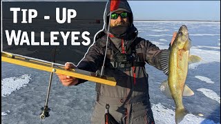 Catching TONS of First Ice Walleyes On TIPUPS [upl. by Cini]