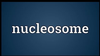 NUCLEOSOMESstructure of nucleosomesfunction of nucleosome [upl. by Solracesoj]