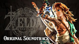 Skydiving All Instruments — The Legend of Zelda Tears of the Kingdom OST [upl. by Kraft]