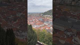 Heidelberg 독일 여행지 추천 독일 독일여행 germany europe germanytrip 유럽여행 heidelberg [upl. by Adohr]