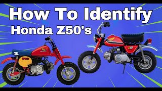 Honda Z50 Monkeybikes  How To Identify [upl. by Trude848]