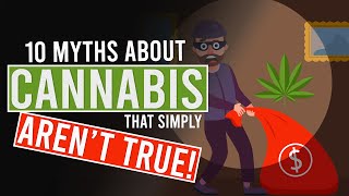 10 MYTHS about CANNABIS That simply ARENT TRUE [upl. by Akel]