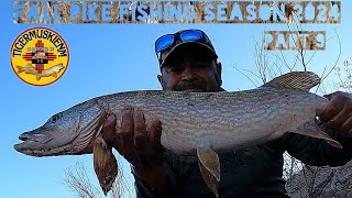 FALL PIKE FISHING SEASON 2024 PART 9 [upl. by Peih37]