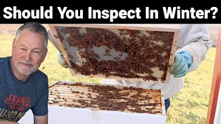 Beekeeping  How To Inspect Your Hive In The Winter [upl. by Liane]