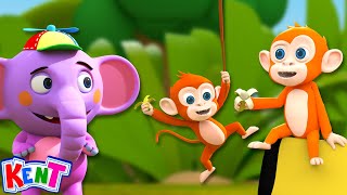 Monkey Monkey Monkey Song  More Daily Kids Songs And Rhymes By Kent The Elephant [upl. by Hakceber]