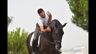 POETA DE SUSAETA  Trainning for world championship for young horses 2017 [upl. by Lareneg561]