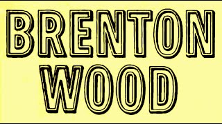 Brenton Wood  Gimme Little Sign Remastered Hq [upl. by Iccir]