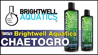 Brightwell Aquatics ChaetoGro Its fertilizer for your chaeto refugium Simple [upl. by Toffic]