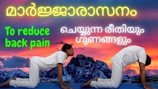 Marjariasana Cat pose   മാർജ്ജാരാസനം ചെയ്യുന്ന രീതിയും ഗുണങ്ങളും [upl. by Deuno]