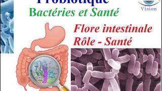 Microbiote immunité Roles Bacteries flore intestinale Probiotique sur la Santé nutrition bactérienne [upl. by Ocir]