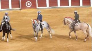 Corrida rejones 11 septiembre 2011 Valladolid [upl. by Nasho]