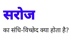 सरोज का संधि विच्छेद क्या होता है  saroj ka sandhi vichchhed kya hota hai [upl. by Cicenia]