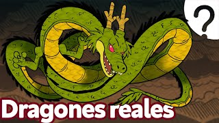 8 Tipos de DRAGONES 🐉 ¿Cuál es la Casa del Dragón [upl. by Chicky]