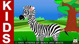 Nursery Rhymes  Learn About Zebra  Kids Songs With Lyrics From TingooKids [upl. by Ahsikam278]