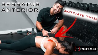 The BEST Serratus Anterior Exercises [upl. by Sela402]