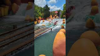 Dudley DoRights Ripsaw Falls Ride  Islands Of Adventure shorts [upl. by Isborne924]