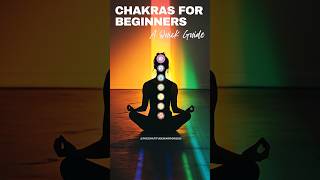 CHAKRAS for BEGINNERS – A Quick Guide [upl. by Adnirb]