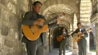 TRIO AYACUCHO  Huerfano pajarillo wayno [upl. by Atteniuq]