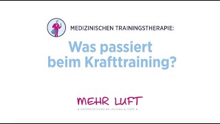 Was passiert beim Krafttraining [upl. by Norbert871]