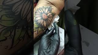 girasoles girasol tattoo flores parati tattooart [upl. by Stasny378]