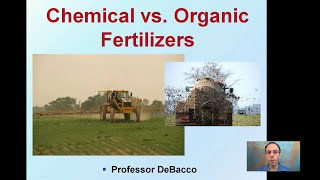 Chemical vs Organic Fertilizers [upl. by Gnuj]