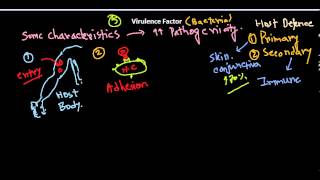 Virulence factors of bacteria [upl. by Wickner]