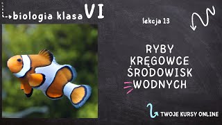 Biologia klasa 6 Lekcja 13  Ryby  kręgowce środowisk wodnych [upl. by Ylle]